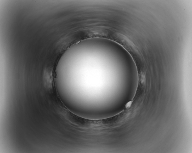 X0000096670915200802121148