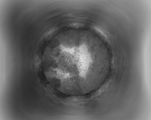 X0000096670917200802121148