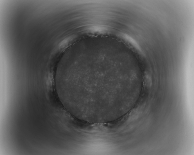 X0000096670918200802121148