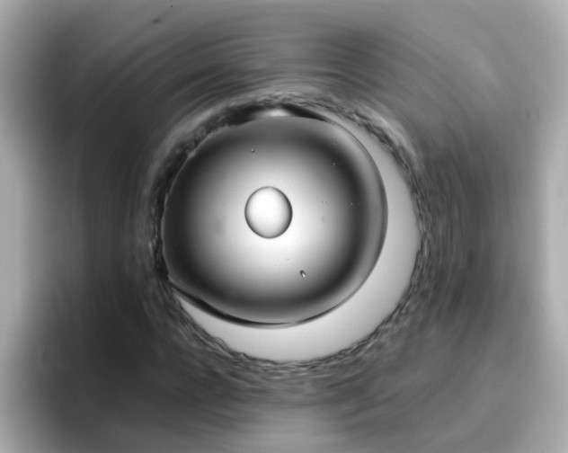 X0000096670920200802121148