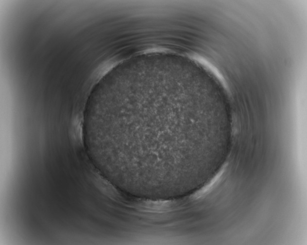 X0000096670921200802121148