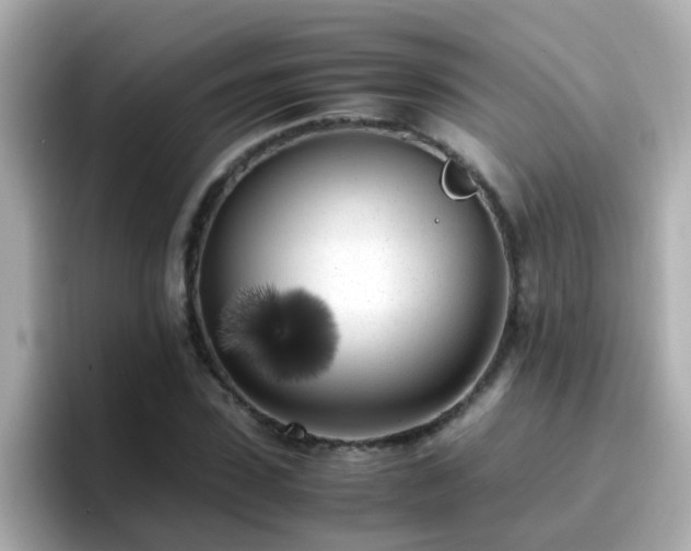 X0000096670923200802121148