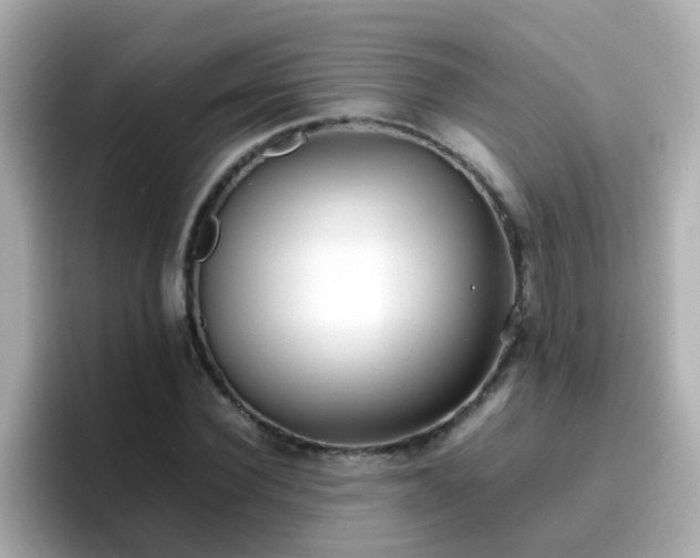 X0000096670924200802121148