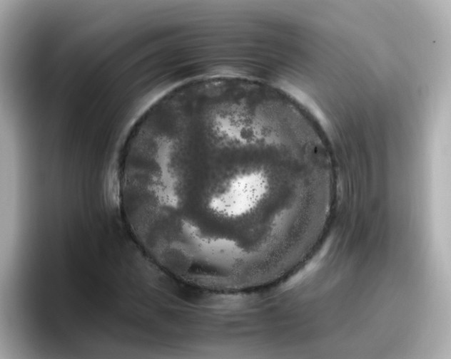 X0000096670925200802121148