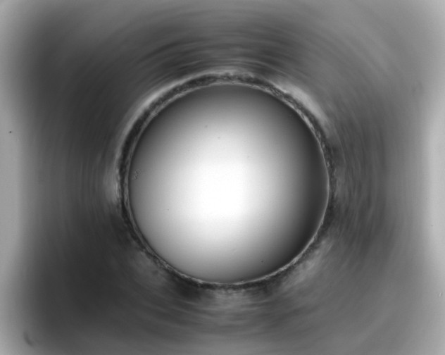X0000096670927200802121148