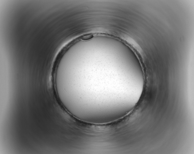 X0000096670928200802121148