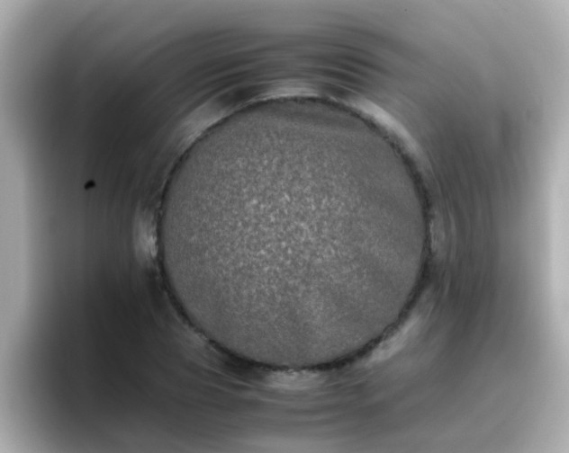 X0000096670929200802121148