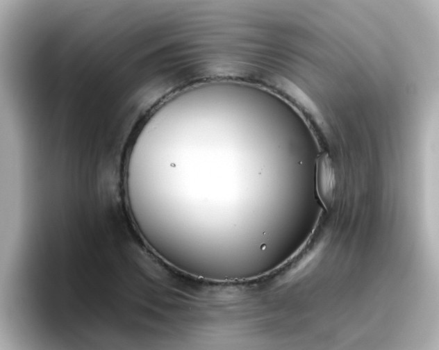 X0000096670930200802121148