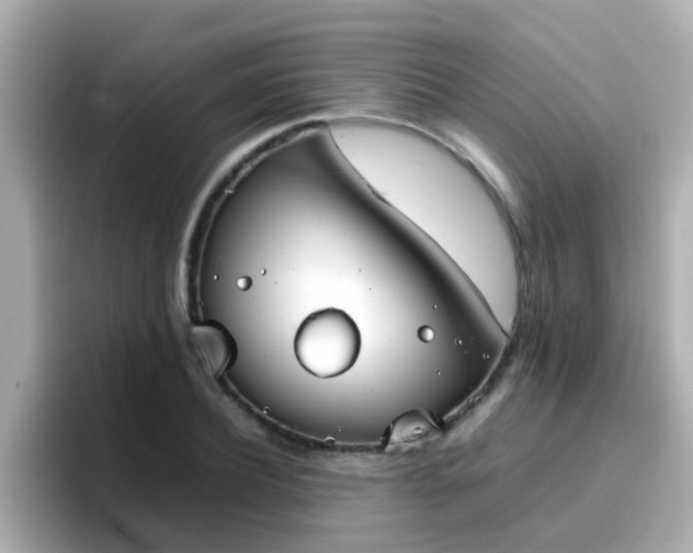 X0000096670932200802121148