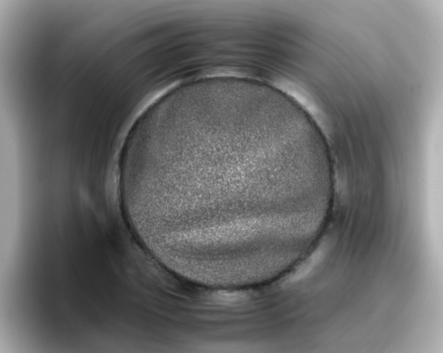 X0000096670933200802121148