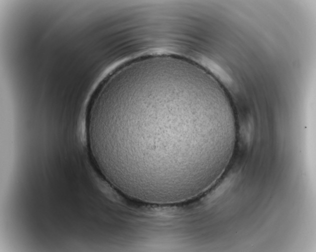 X0000096670934200802121148