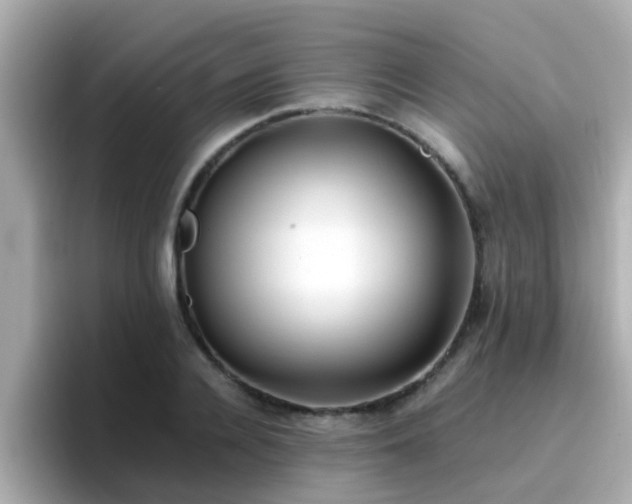 X0000096670936200802121148
