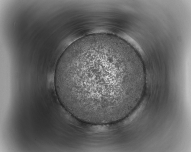 X0000096670937200802121148