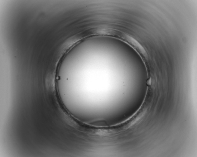 X0000096670938200802121148