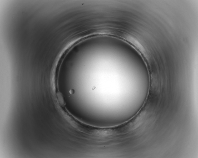 X0000096670939200802121148
