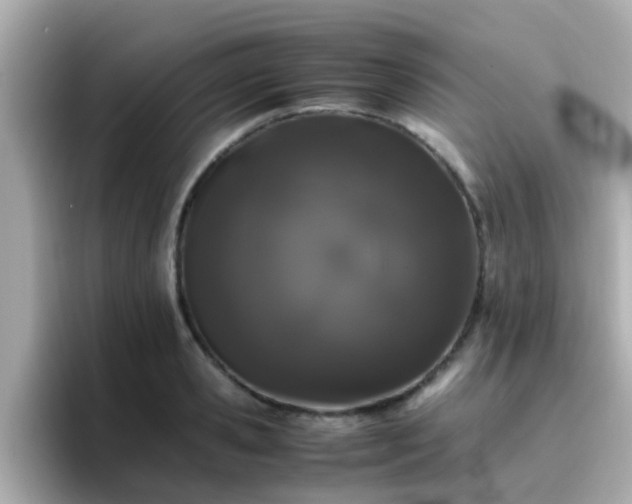 X0000096670941200802121148