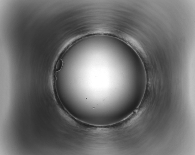 X0000096670942200802121148