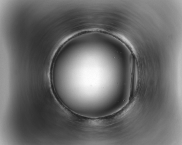 X0000096670943200802121148