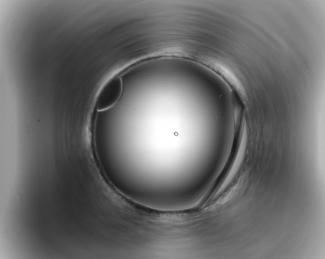 X0000096670944200802121148