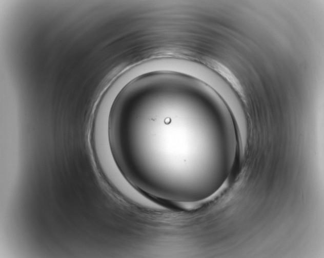X0000096670946200802121148