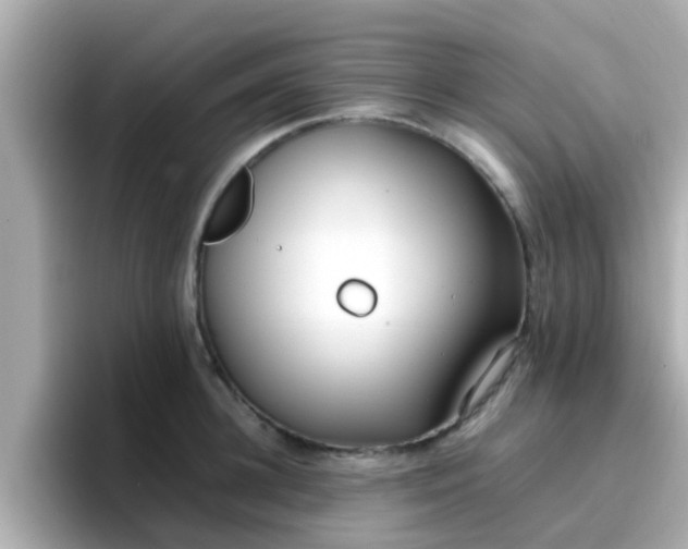 X0000096670948200802121148
