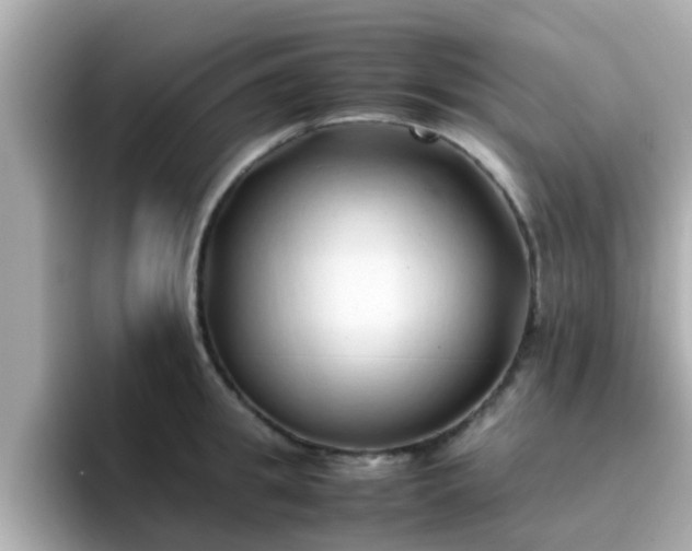X0000096670949200802121148