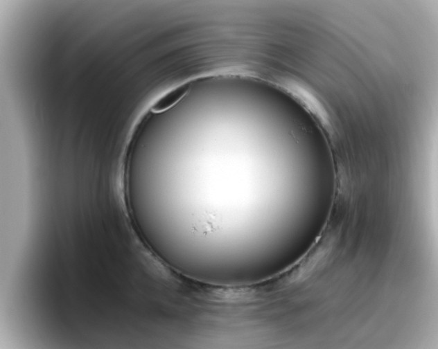X0000096670952200802121148