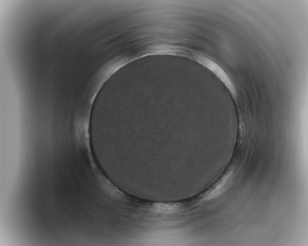 X0000096670954200802121148