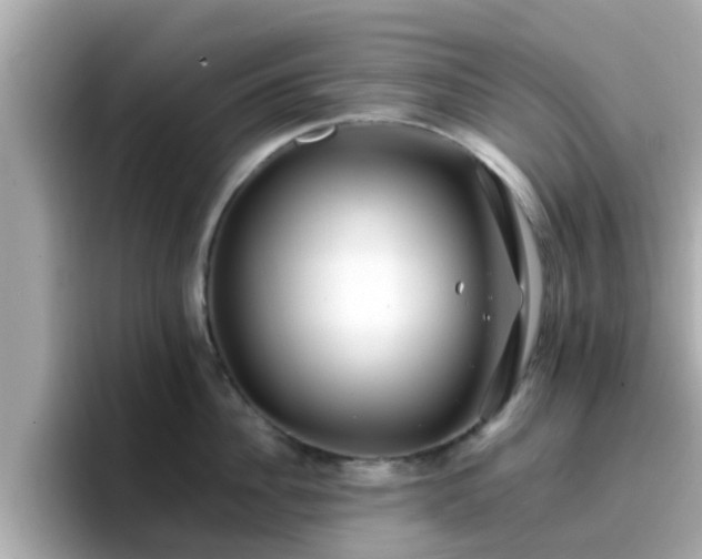 X0000096670956200802121148