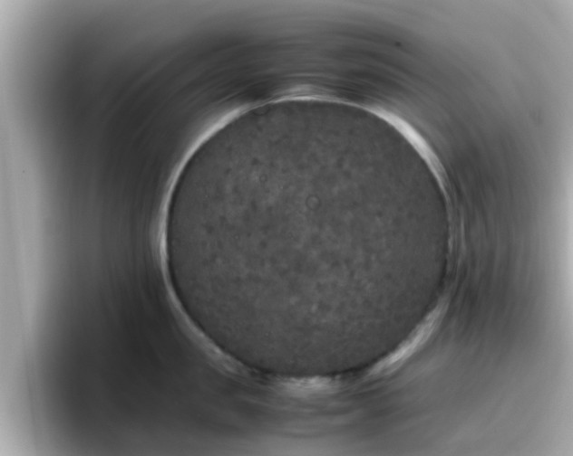 X0000096670957200802121149