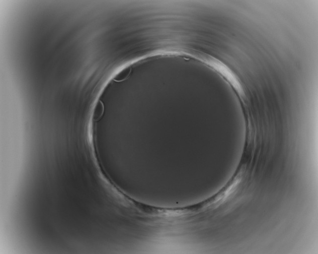 X0000096670958200802121149