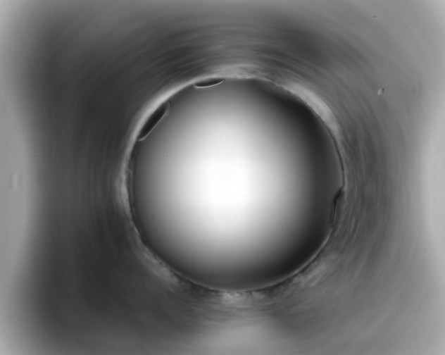 X0000096670960200802121149