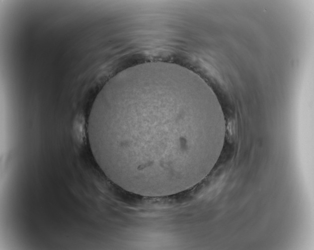 X0000096670963200802121148