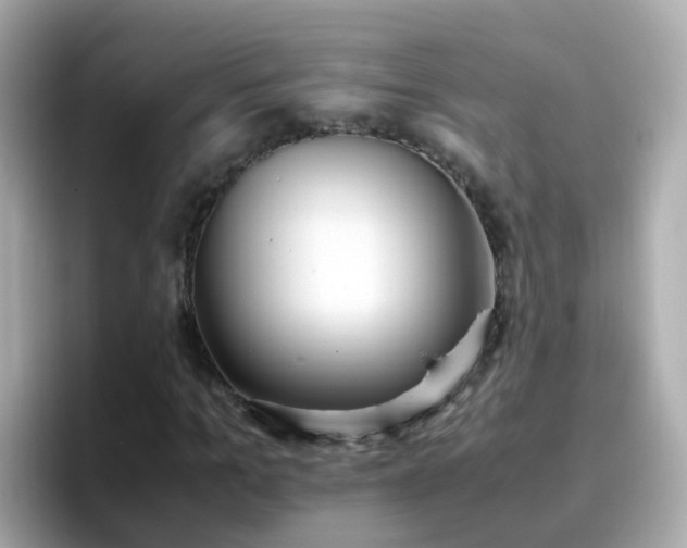 X0000096670965200802121148