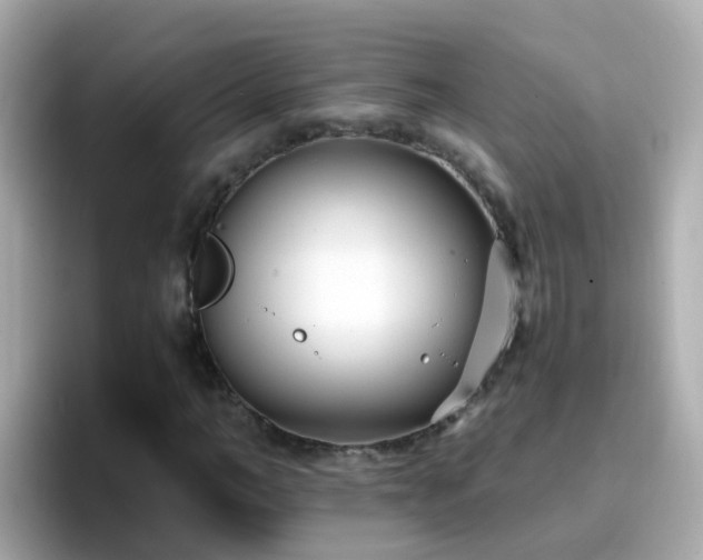 X0000096670966200802121148
