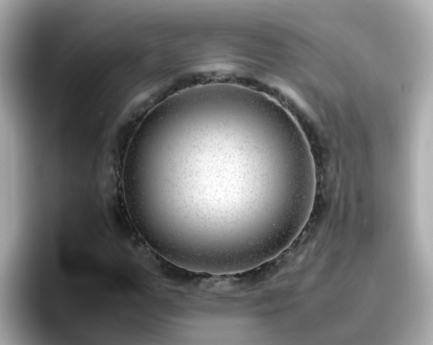 X0000096670967200802121148