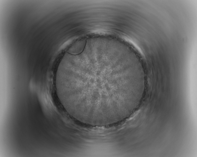 X0000096670968200802121148