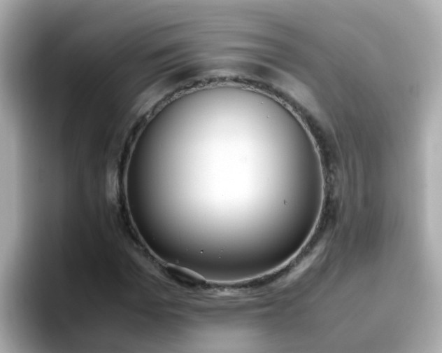 X0000096670969200802121148