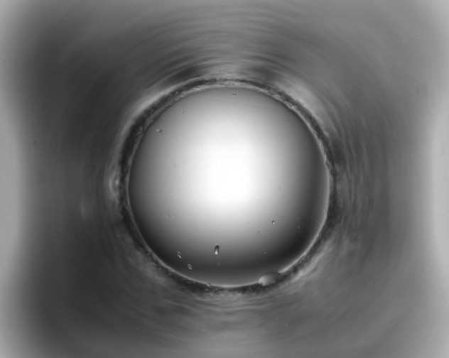 X0000096670971200802121148
