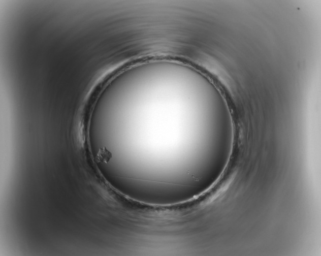 X0000096670973200802121148