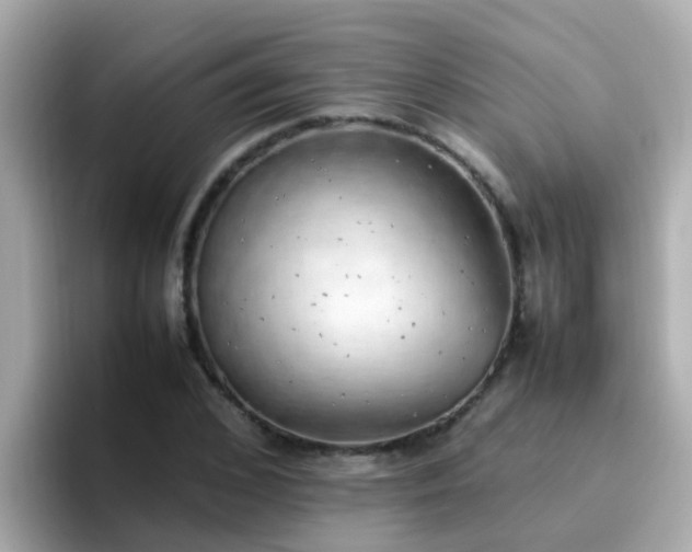 X0000096670976200802121148
