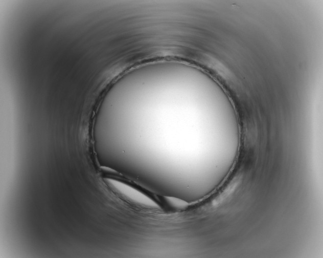 X0000096670977200802121148