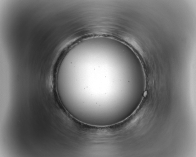 X0000096670979200802121148