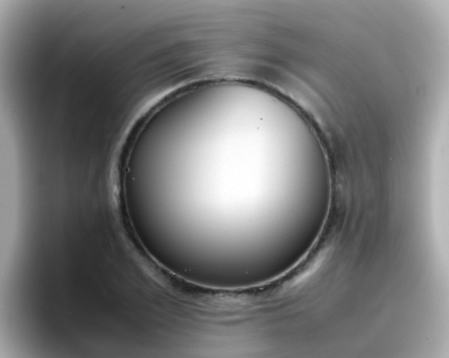 X0000096670981200802121148