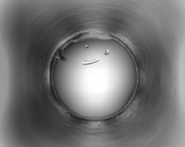 X0000096670982200802121148