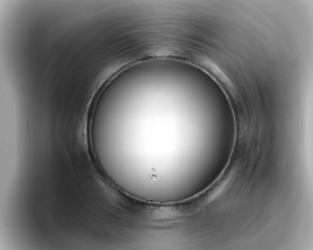 X0000096670986200802121148