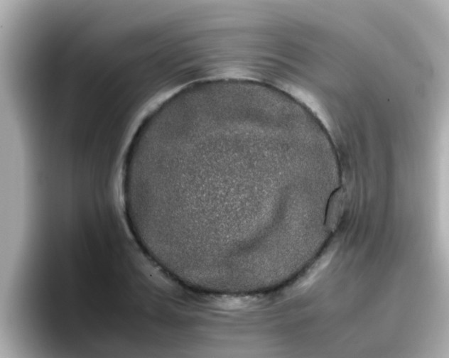 X0000096670987200802121148