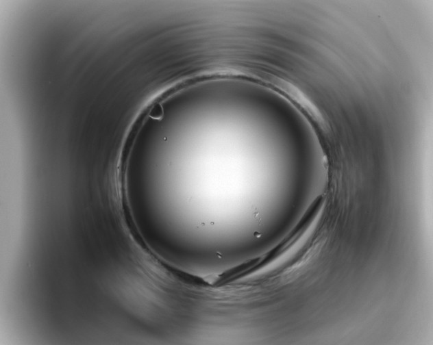 X0000096670988200802121148