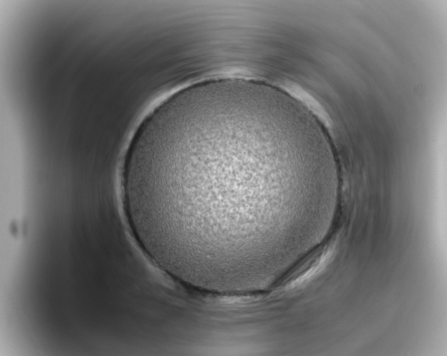 X0000096670989200802121148