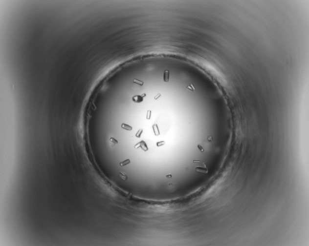 X0000096670990200802121148